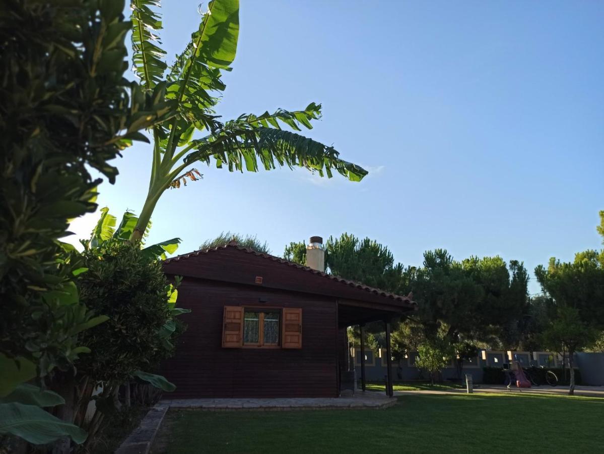 איגיו Aliki Guest House מראה חיצוני תמונה